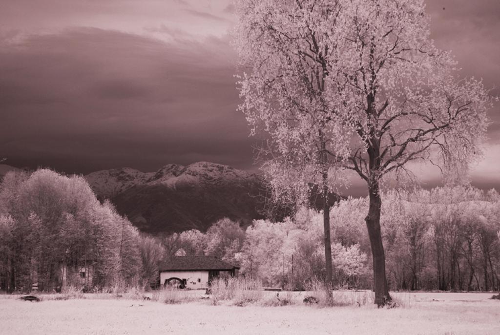 Il Vecchio Mulino Di Bairo Casa de hóspedes Exterior foto
